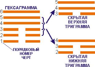 Схема №1. Отношения порождения и разрушения между первоэлементами. - student2.ru