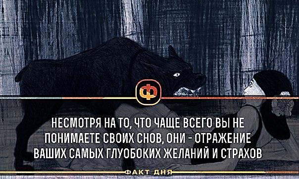 Самых ценных советов на каждый день. - student2.ru