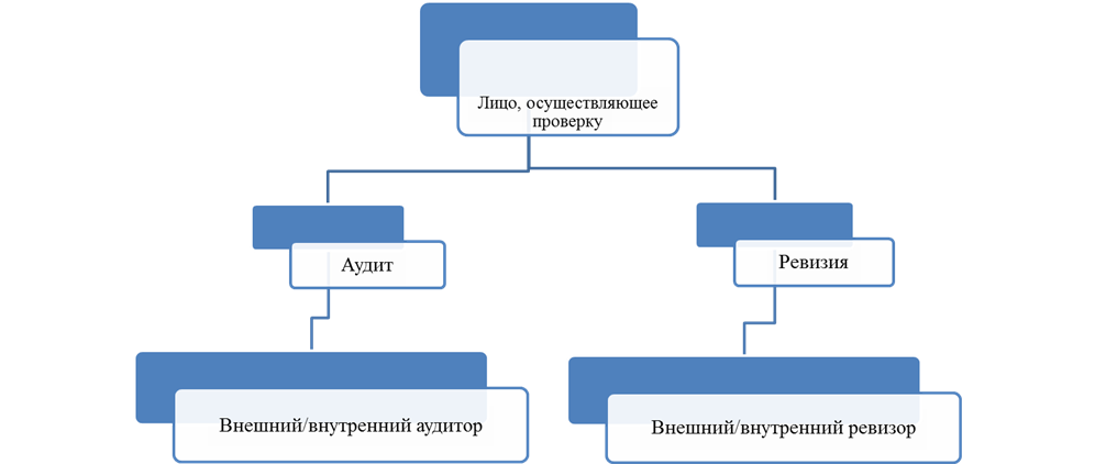 Сходства аудита и ревизии - student2.ru