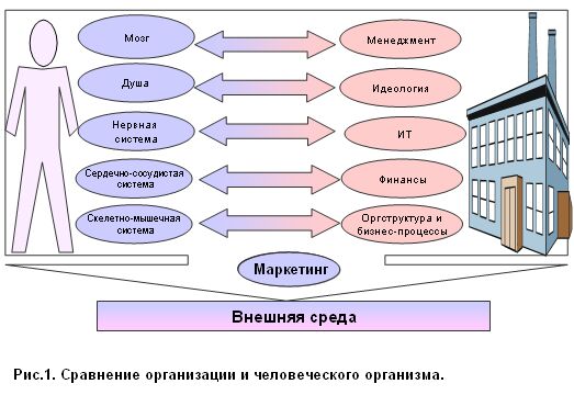 стадии роста страховых компаний - student2.ru