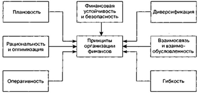 сущность и принципы организации финансов страховой организации - student2.ru