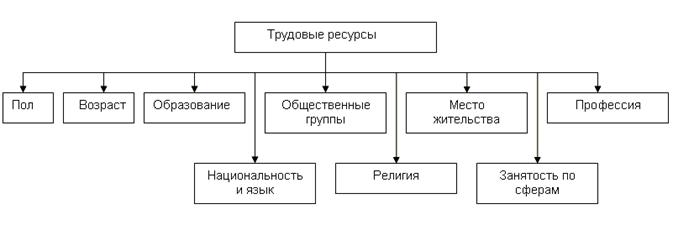 Трудовые ресурсы, состав и структура - student2.ru