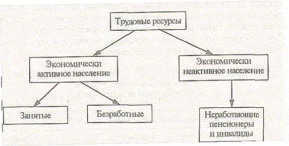 Трудовые ресурсы, состав и структура - student2.ru