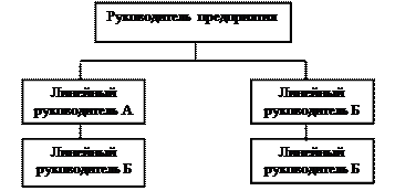 Виды организационных структур управления - student2.ru