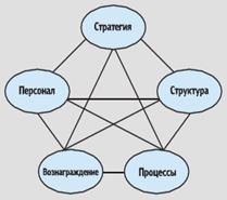 Воплощение бизнес-модели в организации. Пять сфер, которые в организации должны уравновешивать друг друга: стратегия, структура, процессы, вознаграждение и коллектив. - student2.ru