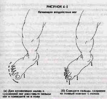 б. взаимоотношения между небом и органами - student2.ru