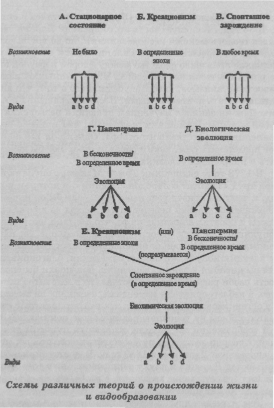 Биохимическая эволюция - student2.ru