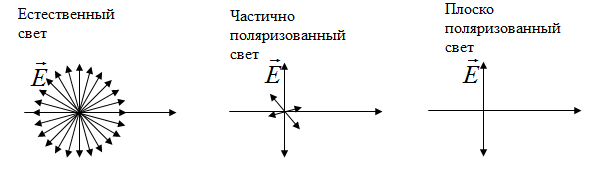 Естественный и поляризованный свет - student2.ru