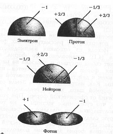 фрактальная структура субатомных частиц ифотона - student2.ru