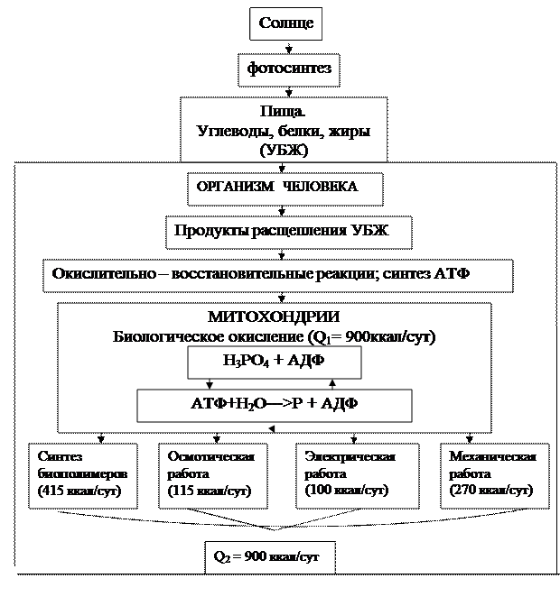 II. Основные законы термодинамики. - student2.ru