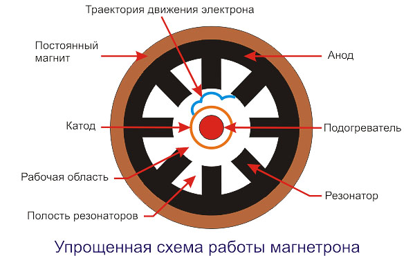 Конструкция многорезонаторного магнетрона - student2.ru