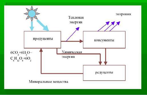 Круговорот вещества в биосфере и баланс энергии - student2.ru