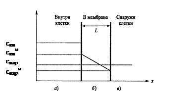 Модели биологических мембран - student2.ru