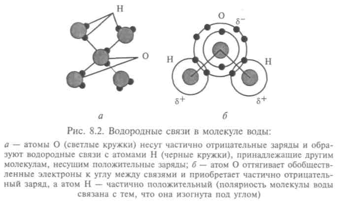 Особенности растворения в воде различных веществ - student2.ru