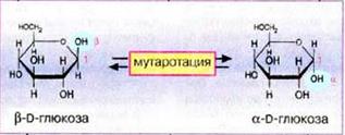 Поляриметрический метод анализа - student2.ru