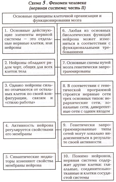 Поведение человека, как синтез его физиологических особенностей и социального опыта. Сознательное и бессознательное в поведении людей - student2.ru