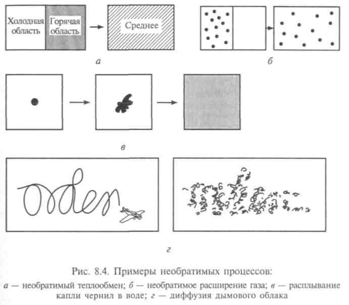 Процессы диффузии и осмоса, их роль в клеточных мембранах - student2.ru