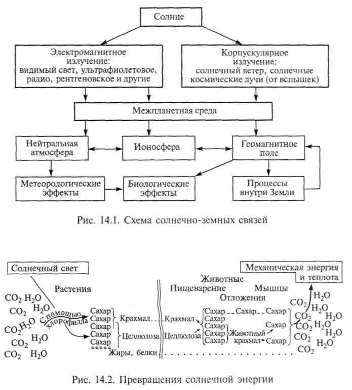 Распределение на Земле солнечной энергии. Биотический круговорот - student2.ru