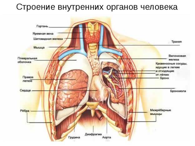 Симптоматика и клиническое течение - student2.ru