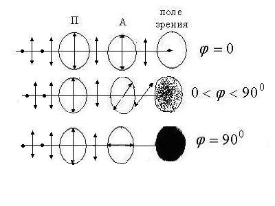 Система поляризатор – анализатор - student2.ru