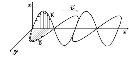 Свойства электромагнитных волн: поперечность, синфазность колебаний векторов напряженностей электрического и магнитного полей. - student2.ru
