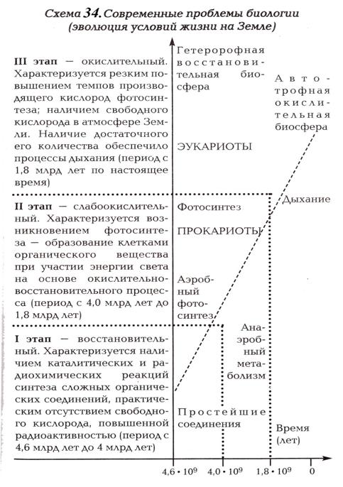 Тема 5.3. Происхождение жизни (эволюция и развитие живых систем) - student2.ru