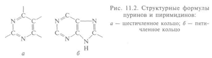 Установление строения и структуры молекул ДНК и РНК - student2.ru