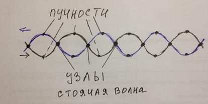 Волны в упругой среде. Поперечные и продольные волны. Уравнение волны и основные характеристики. - student2.ru