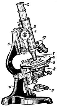 Элементарные сведения о микроскопе - student2.ru