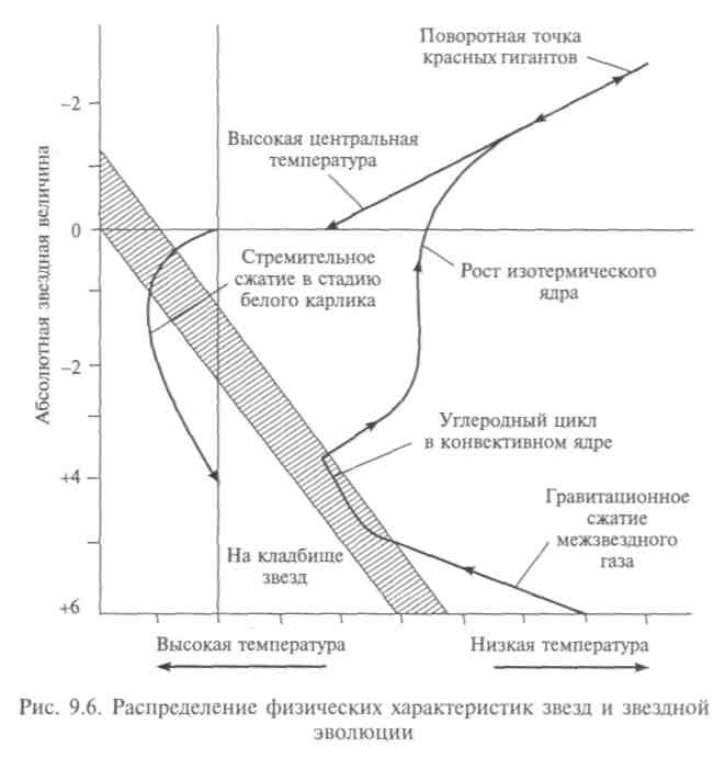 Звезды, их характеристики и эволюция - student2.ru