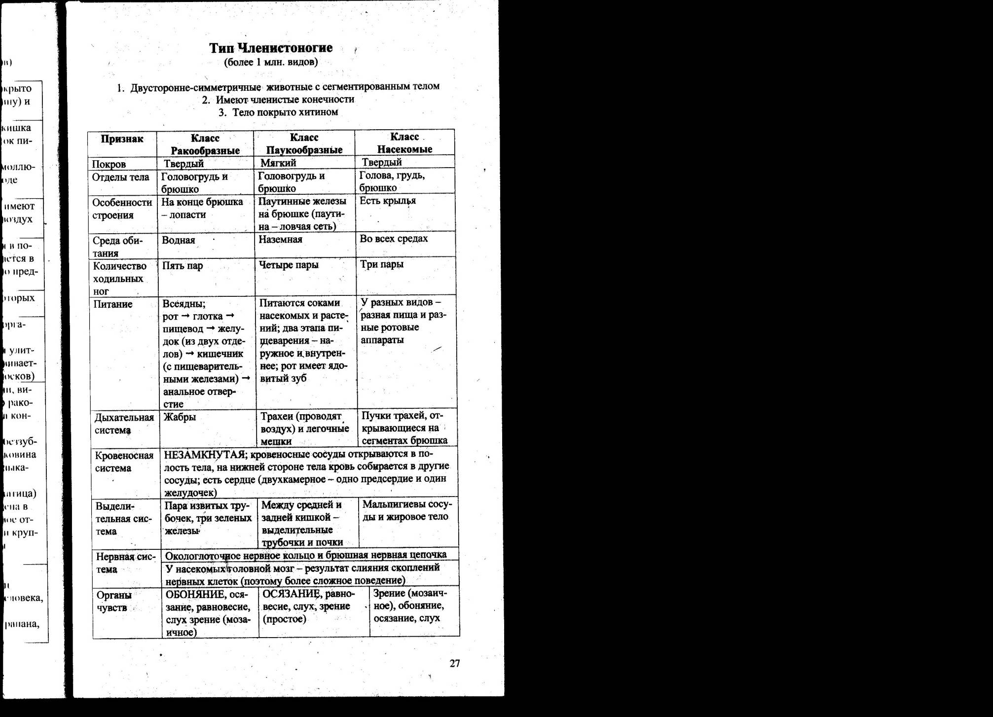 ЦАРСТВО РАСТЕНИЯ (классы и семейства Цветковых) - student2.ru