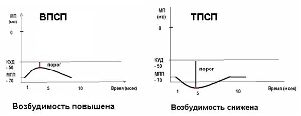 Агонисты и антагонисты медиаторов - student2.ru