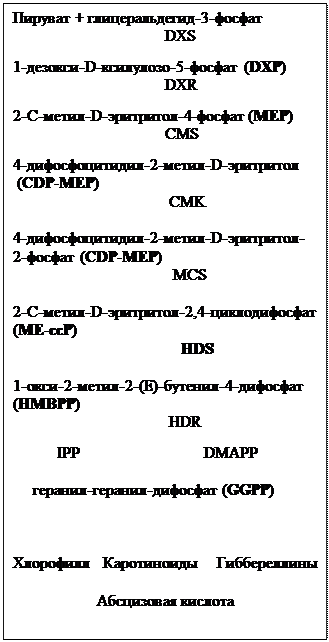 анатомия и физиология растений, ботаника - student2.ru