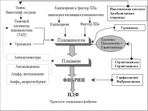 антикоагулянты непрямого действия - student2.ru