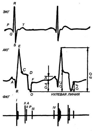 апекскардиография (акг) - student2.ru