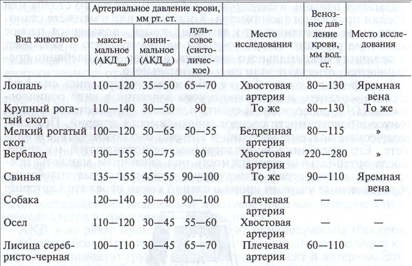 Артериальное (АКД) и венозное (ВКД) кровяное давление у некоторых видов - student2.ru