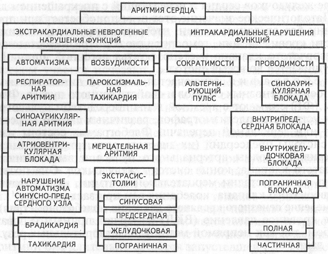 Артериальное (АКД) и венозное (ВКД) кровяное давление у некоторых видов - student2.ru