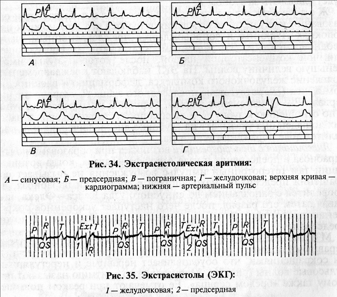 Артериальное (АКД) и венозное (ВКД) кровяное давление у некоторых видов - student2.ru