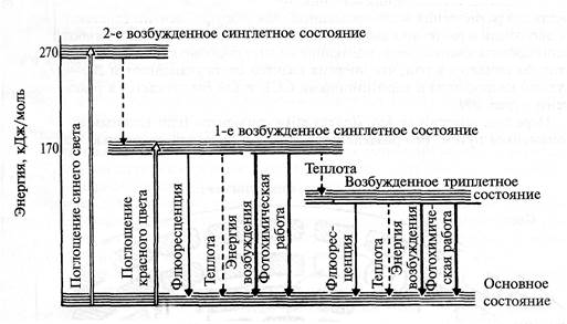 Ассимиляция углерода (фотосинтез) - student2.ru