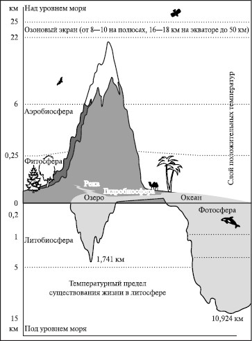 биосфера. географическая оболочка - student2.ru