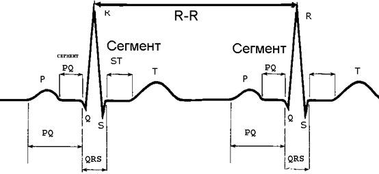 Биоэнергетические основы ЭКГ - student2.ru