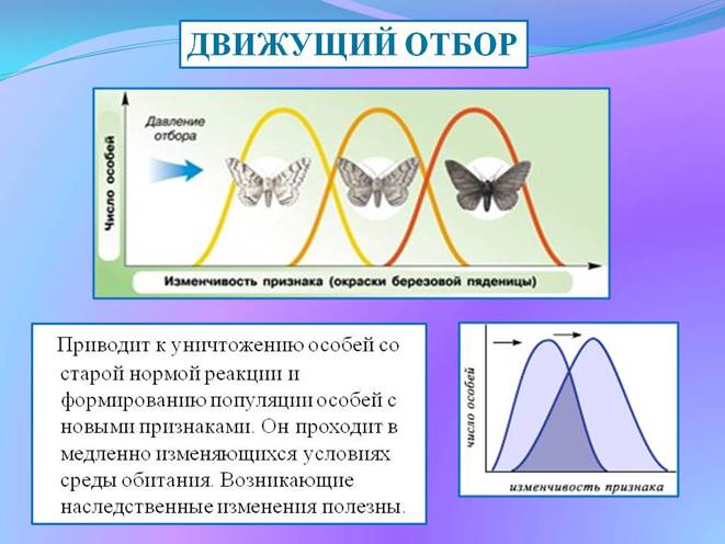 Что является результатом эволюции растительного мира? Повышение уровня организации растений - student2.ru