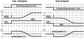 Действие постоянного подпорогового тока на возбудимые структуры - student2.ru