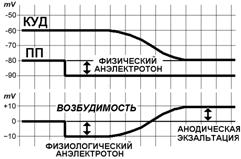 Действие постоянного подпорогового тока на возбудимые структуры - student2.ru