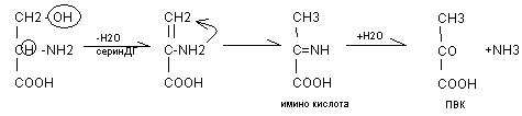 Дезаминирование аминокислот - student2.ru