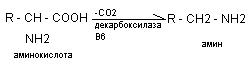 Дезаминирование аминокислот - student2.ru