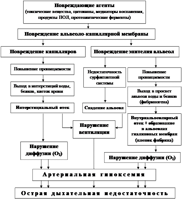 Дополнительная информация. Рис. 3. Патогенез респираторного дистресс-синдрома взрослых - student2.ru