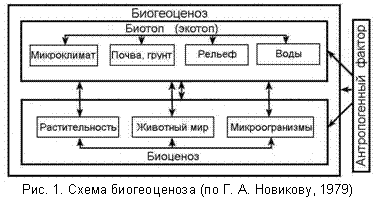 Две составляющих биогеоценоза - student2.ru
