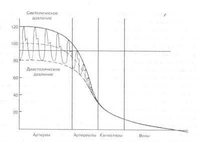 движение крови по сосудам (гемодинамика) - student2.ru