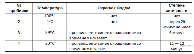 движение крови в организме человека - student2.ru